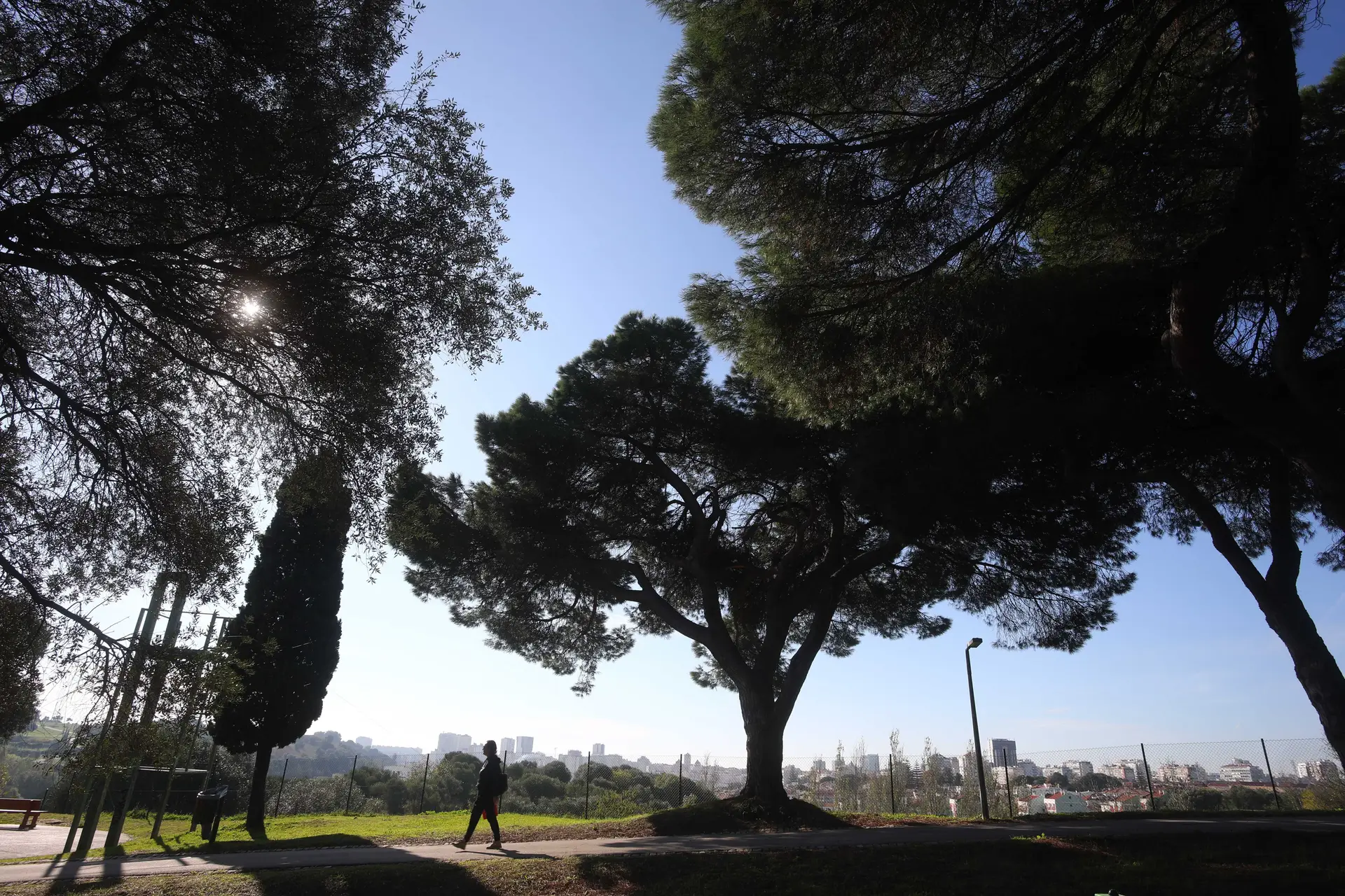 Mata de Alvalade, Lisboa