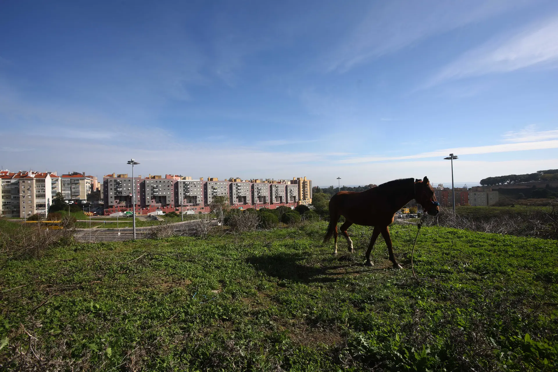 Vale de Chelas, Lisboa