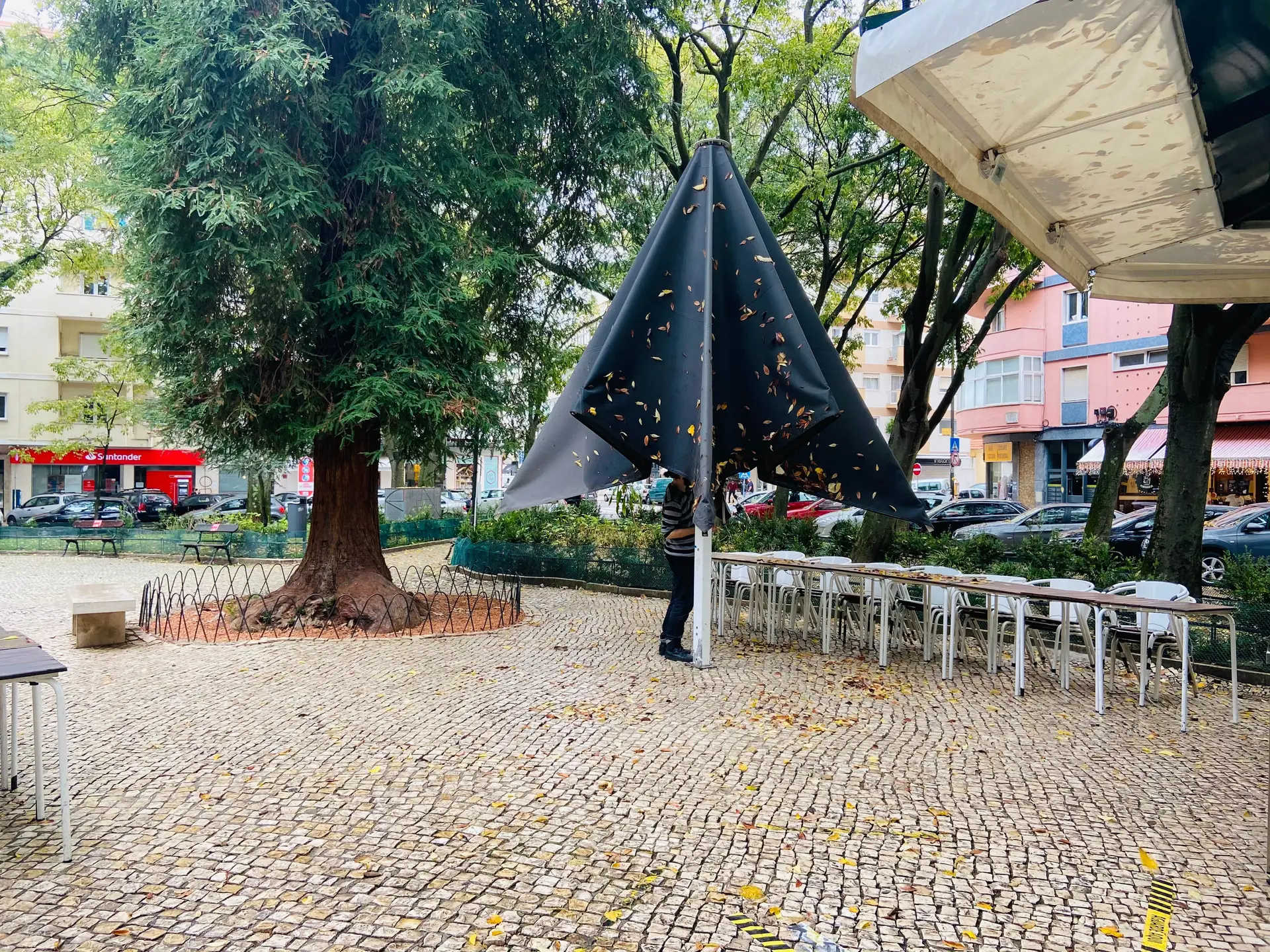 Lares, parques, bebidas e 55 exceções à suspensão de atividades: o que pode abrir e tudo o que continua fechado a partir de 15 de março