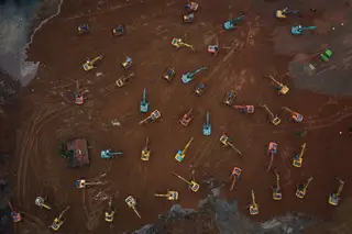 Dança de escavadoras, o maldito bicho, gente que não é gente e um (não) Presidente - as fotos internacionais do ano