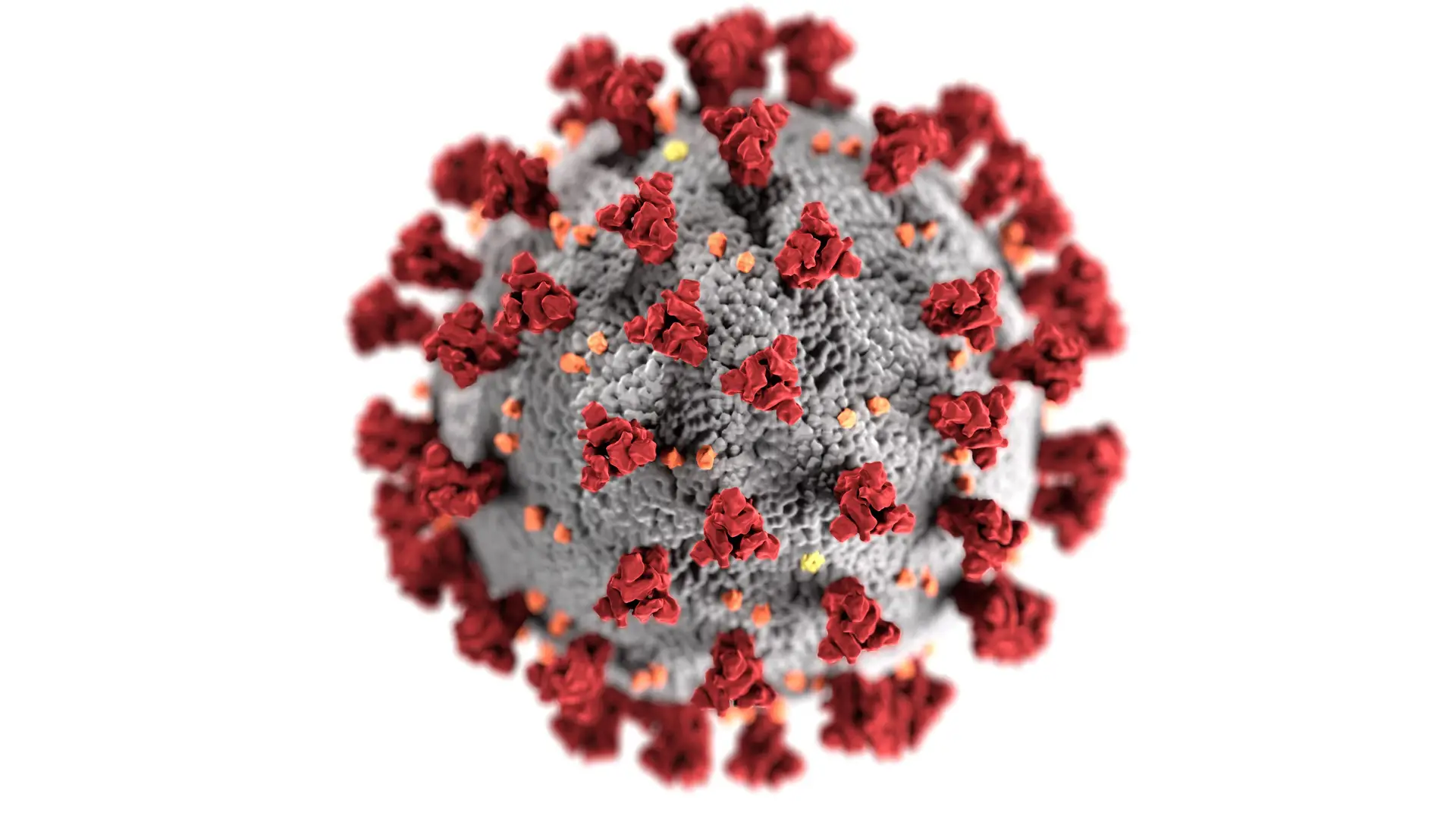 Nova variante do SARS-CoV-2 circula em Portugal há pelo menos um mês
