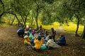 Aulas na floresta cultivam crianças sem medo