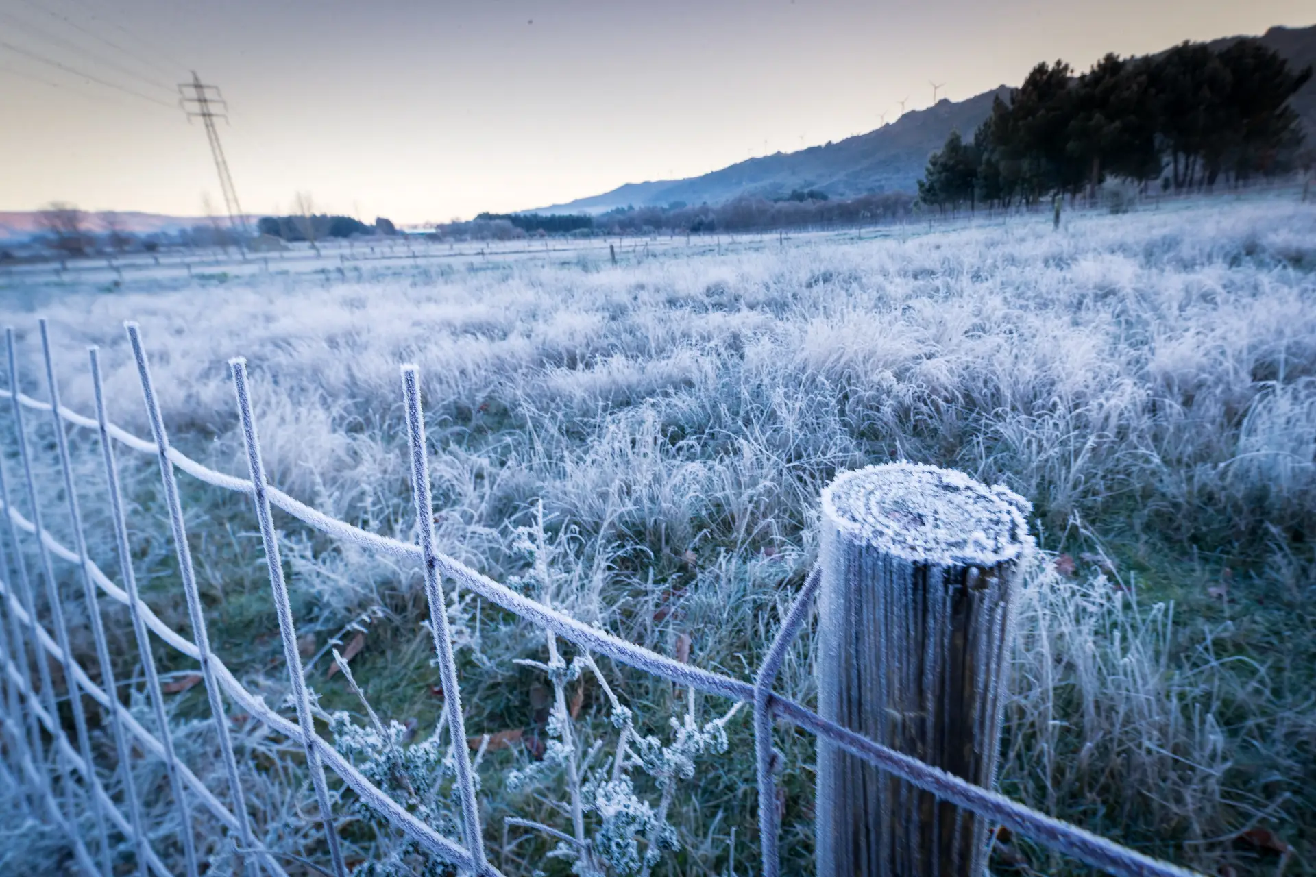 Vaga de frio na Europa: cidades cobertas de neve - SIC Notícias