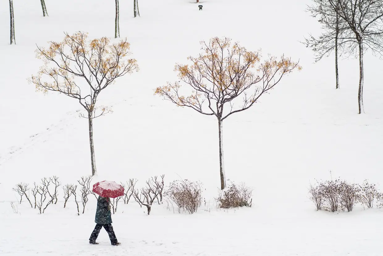 Madrid é, nesta altura, um quadro pintado de branco