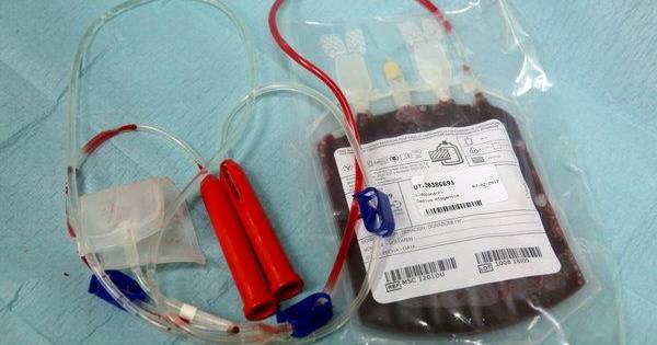 Instituto do sangue diz que só tem reservas para quatro dias de “A positivo”, “O positivo” e “B negativo”
