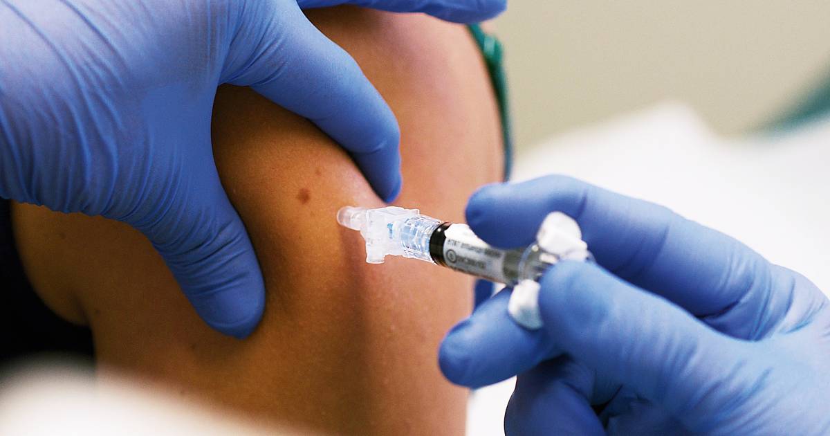 Portugal tem feito “trabalho incrível” na vacinação contra a gripe, mas há espaço para melhorias