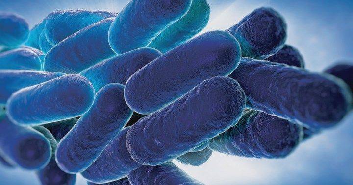 Legionella bacteria detected in one of the TagusPark datacenter towers in Oeiras