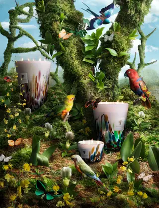 As velas da coleção Rainforest (de €94 até €555) são inspiradas em grandes florestas: Amazónia (América Latina), Mayumbe (África) e Tanjung (Ásia)