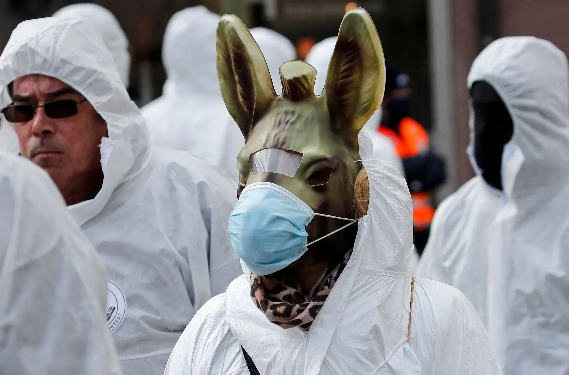Máscaras são para burros, defende este manifestante na localidade suíça de Liestal