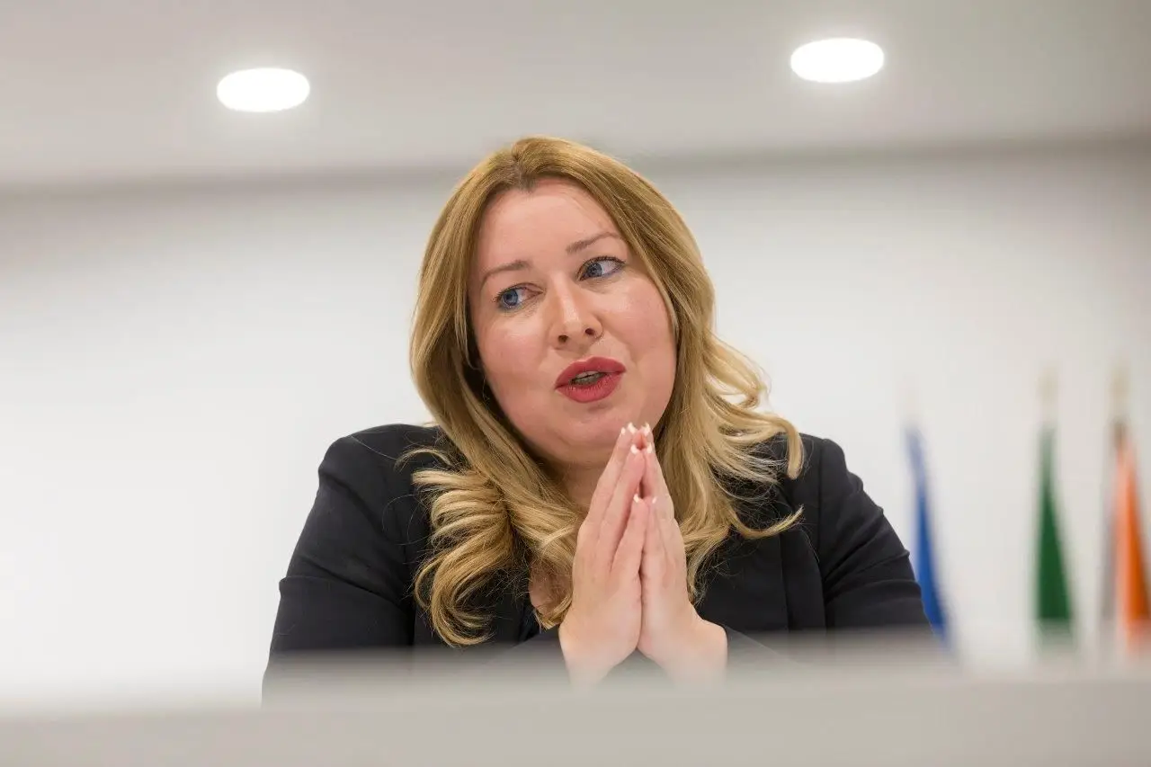 Suzana Garcia. "Deve haver mais fiscalização ao RSI. Se isto é ser populista, então sou populista"