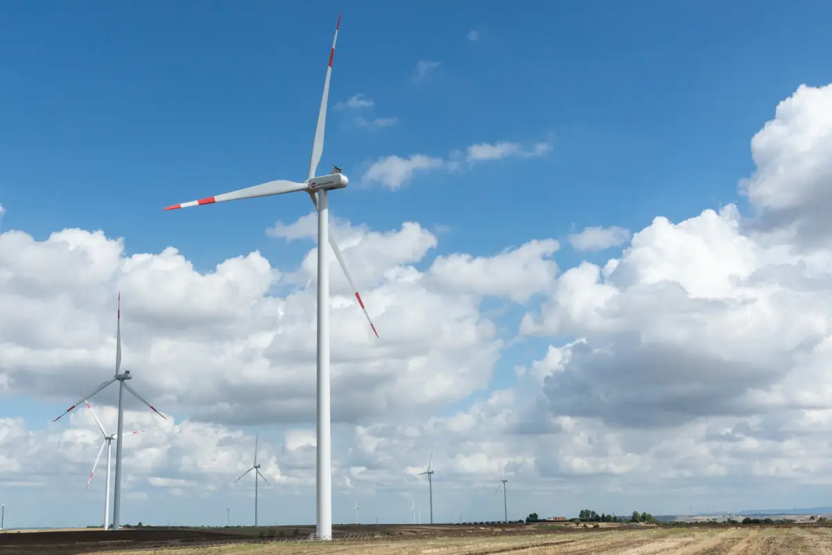 Renováveis não têm culpa do aumento dos preços da energia, defende líder da AIE