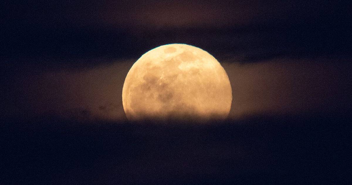 Lua do Castor: saiba como ver nesta semana a superlua mais brilhante do ano