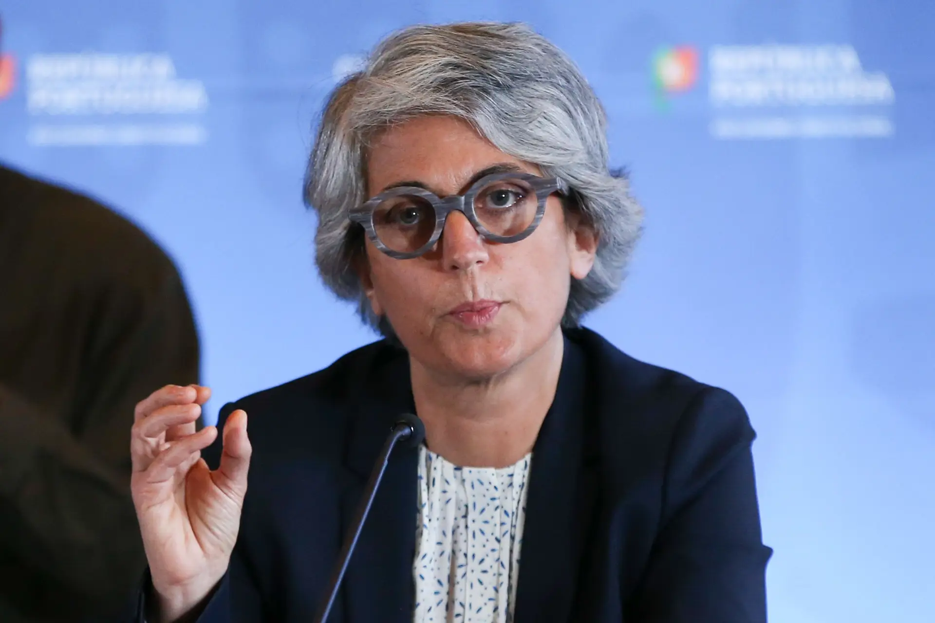 Ministra da Cultura destaca obra diversa de Julião Sarmento