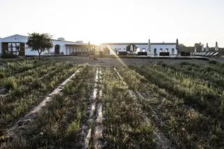 O Craveiral Farmhouse em São Teotónio mantém todos os 48 trabalhadores em funções, mesmo com a cerca sanitária