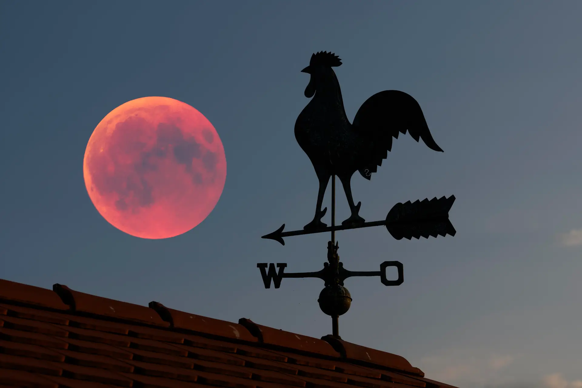 A partir das 21h14 pode ver um "espetáculo lindíssimo": chama-se superlua das flores e é “uma grande sorte”, até porque se prevê bom tempo