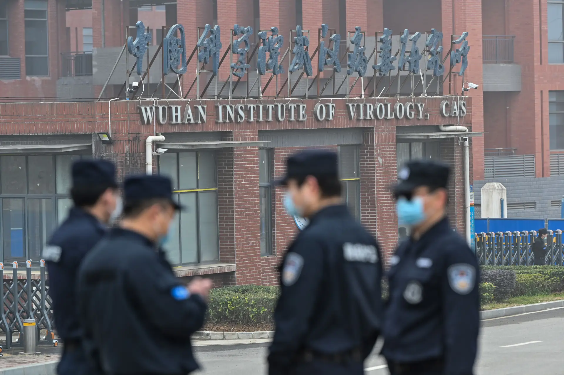 A China está a ser acusada de controlar o que é e não é publicado sobre as origens da covid-19. Que se passou ao certo?