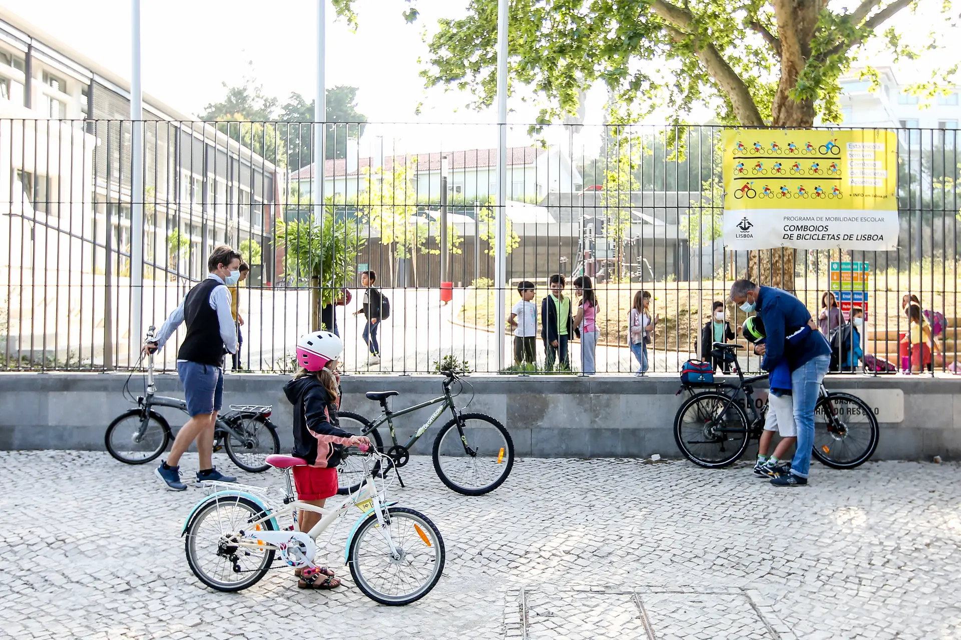 Bicicletas e capacetes vão chegar a todas as escolas com 2.º ciclo