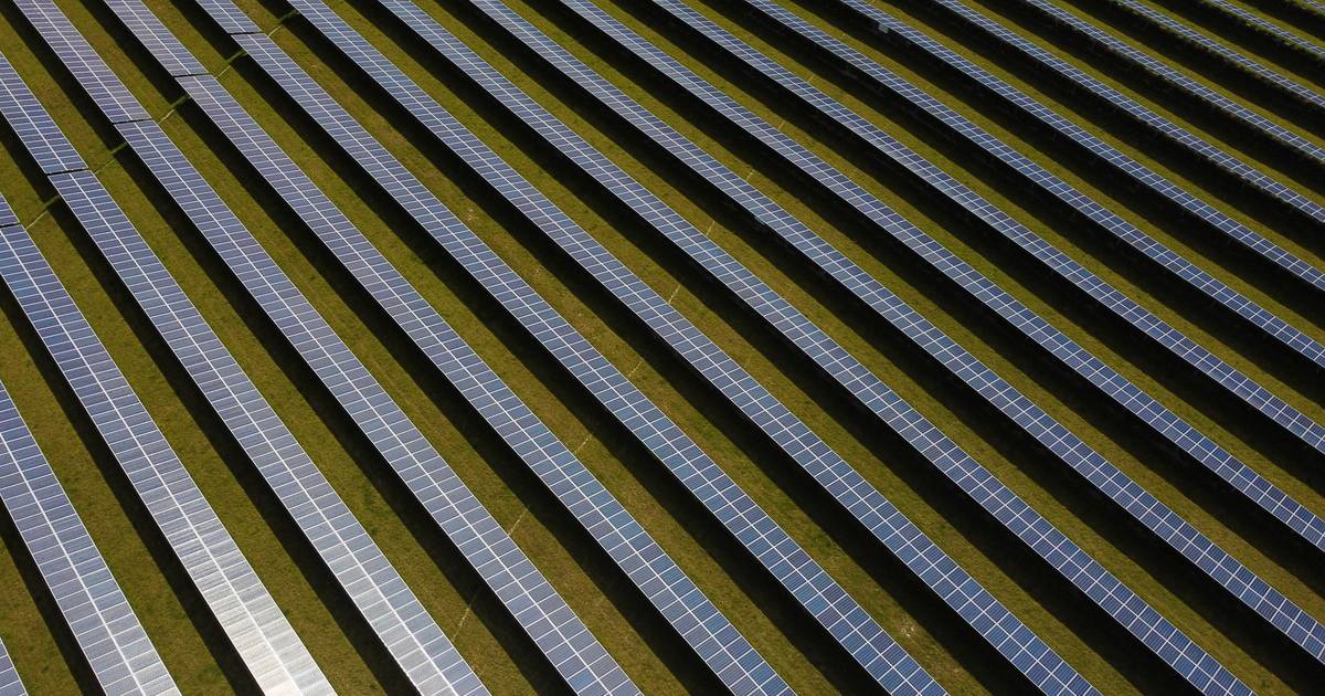 REN inicia licenciamento para ligar à rede o maior projeto de energia solar do país