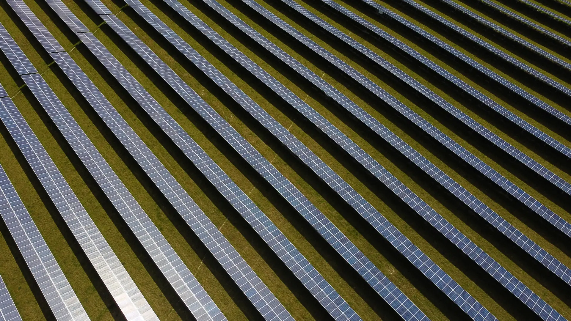 Ministério Público contraria decisão da Agência Portuguesa do Ambiente e trava megaprojeto solar em Santiago do Cacém, no Alentejo
