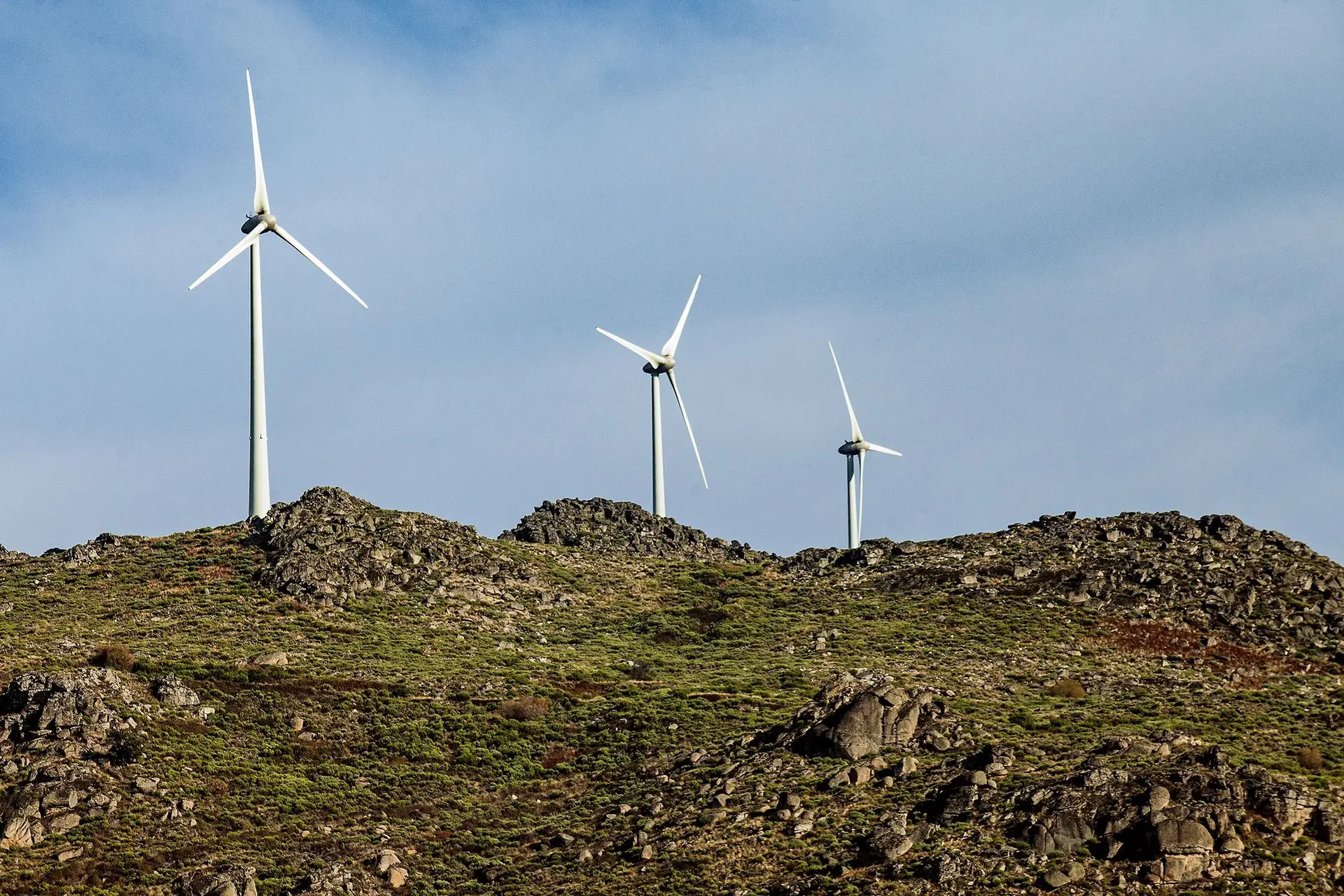 Eólicas são um dos eixos da estratégia da Greenvolt, com projetos na Polónia, Grécia e Roménia