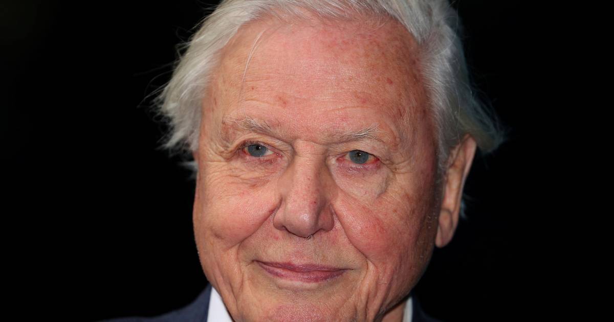 À festa de anos de David Attenborough, nem a Casa Real faltou