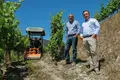 Como 1,5 metros prometem mudar a viticultura no Douro