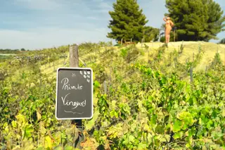 Deter uma vinha própria é concretizável na Quinta dos Vales (entre €30 mil e €60 mil por ano)