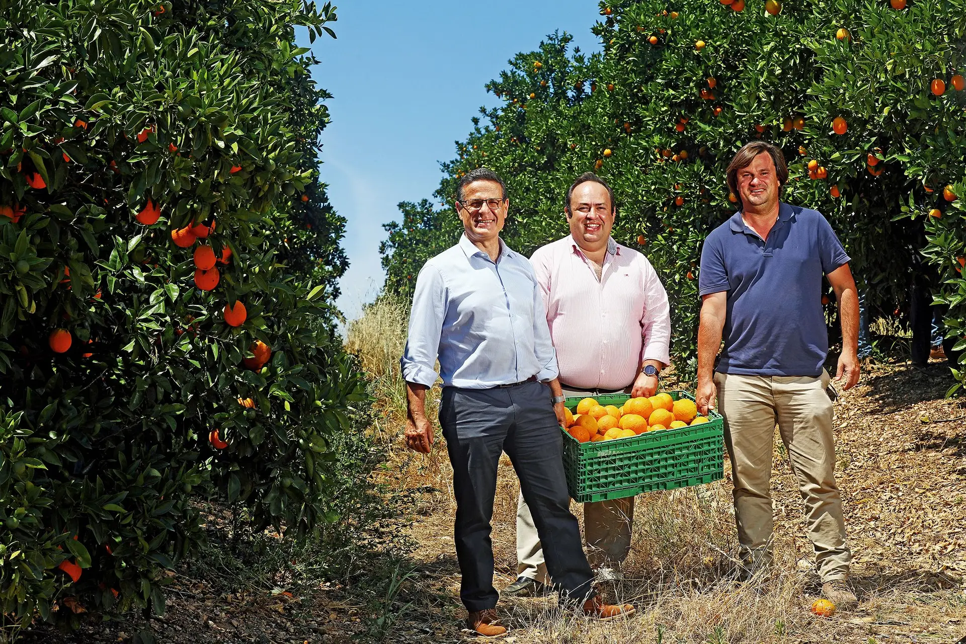 António Serrano, presidente executivo da Jerónimo Martins Agroalimentar, à esquerda, com Ricardo Costa e Mário Gemperle, parceiros no novo projeto no Alentejo