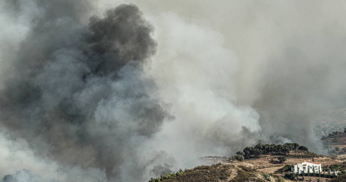 Municípios do Algarve criticam presidente da gestão integrada de fogos rurais: “O engenheiro Tiago Oliveira não percebe nada de bombeiros”