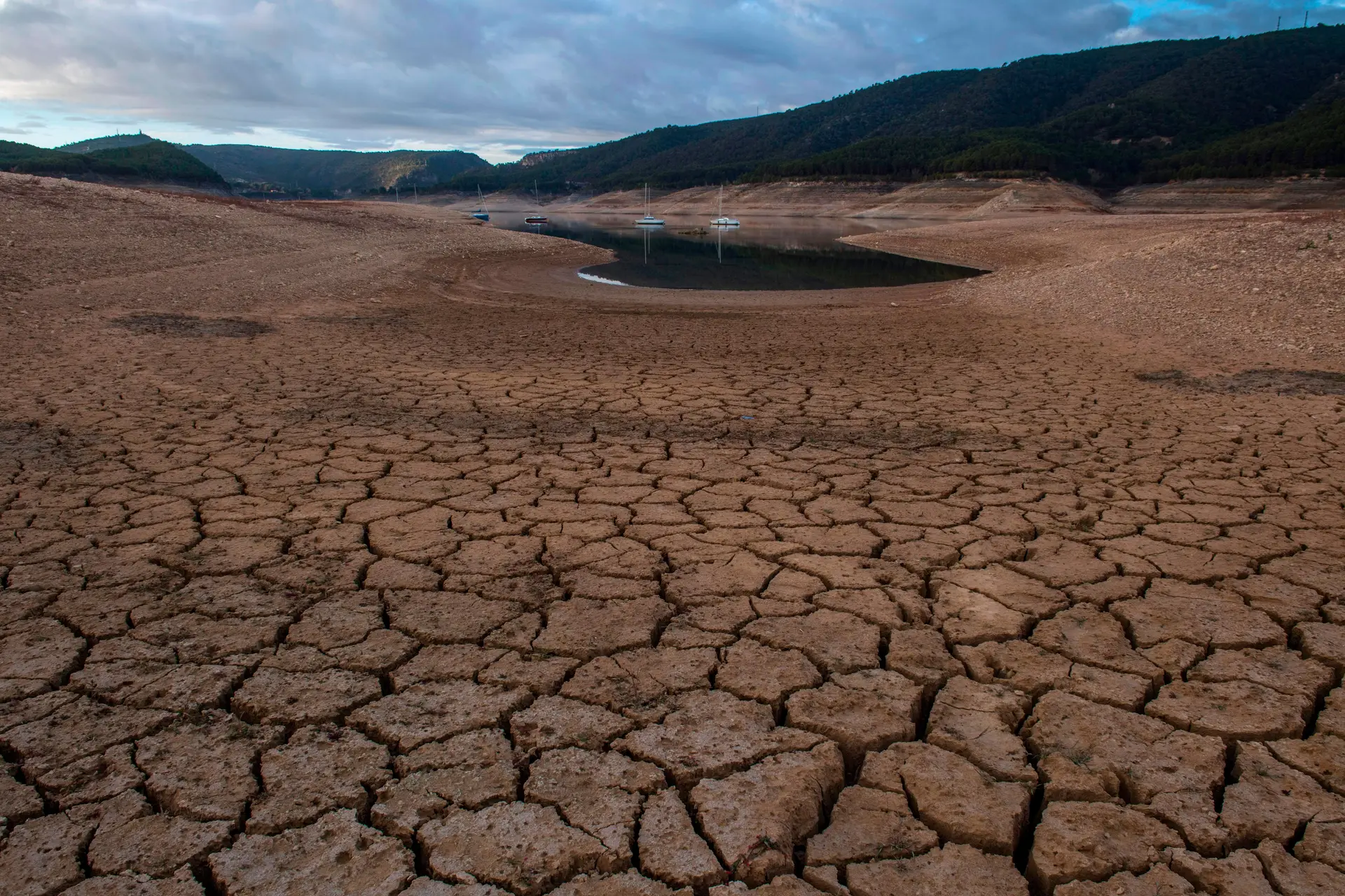 Clima. ONU recusa adiamento de cimeira pedido por organizações ambientalistas