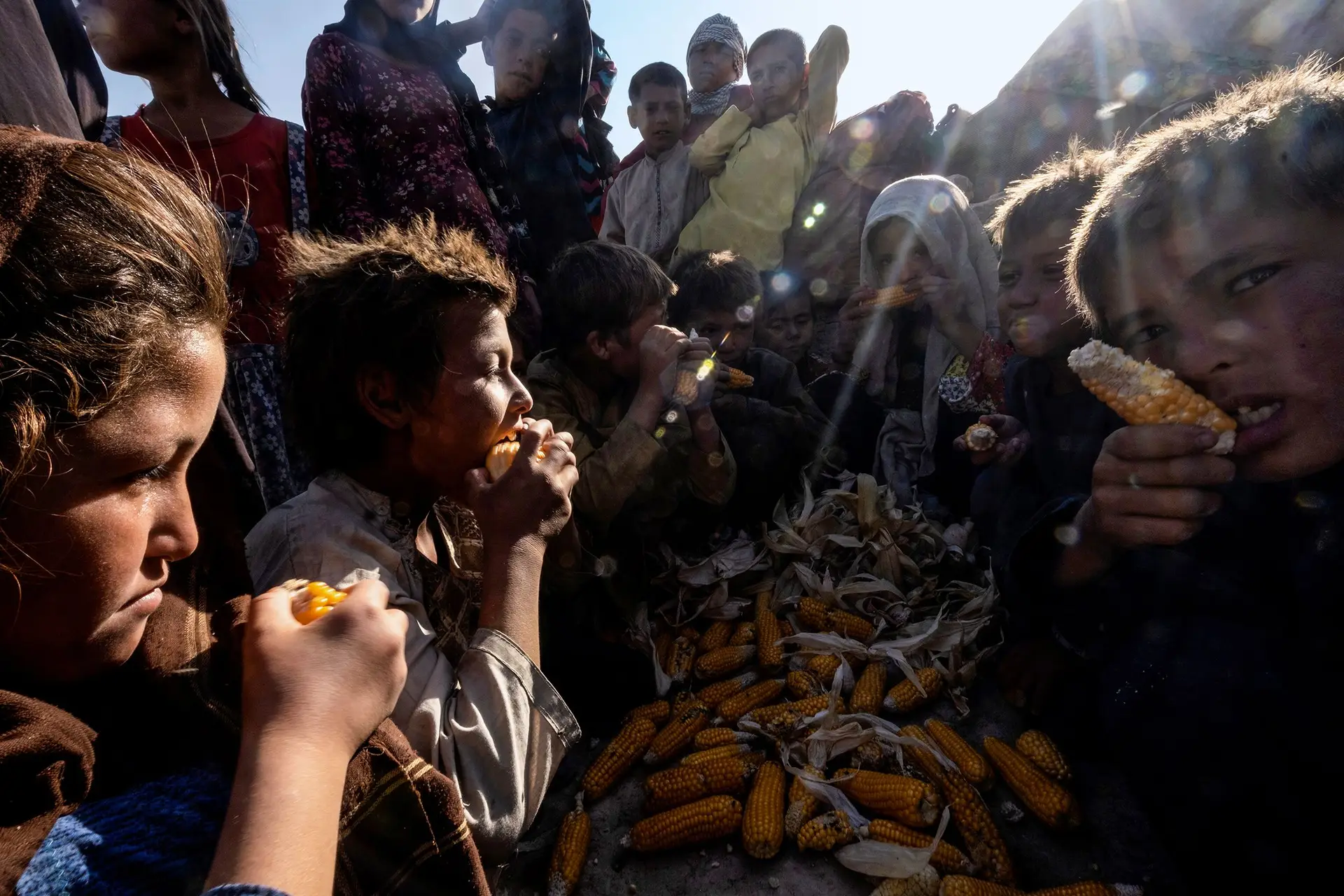 O risco de fome é bem real para milhões de afegãos