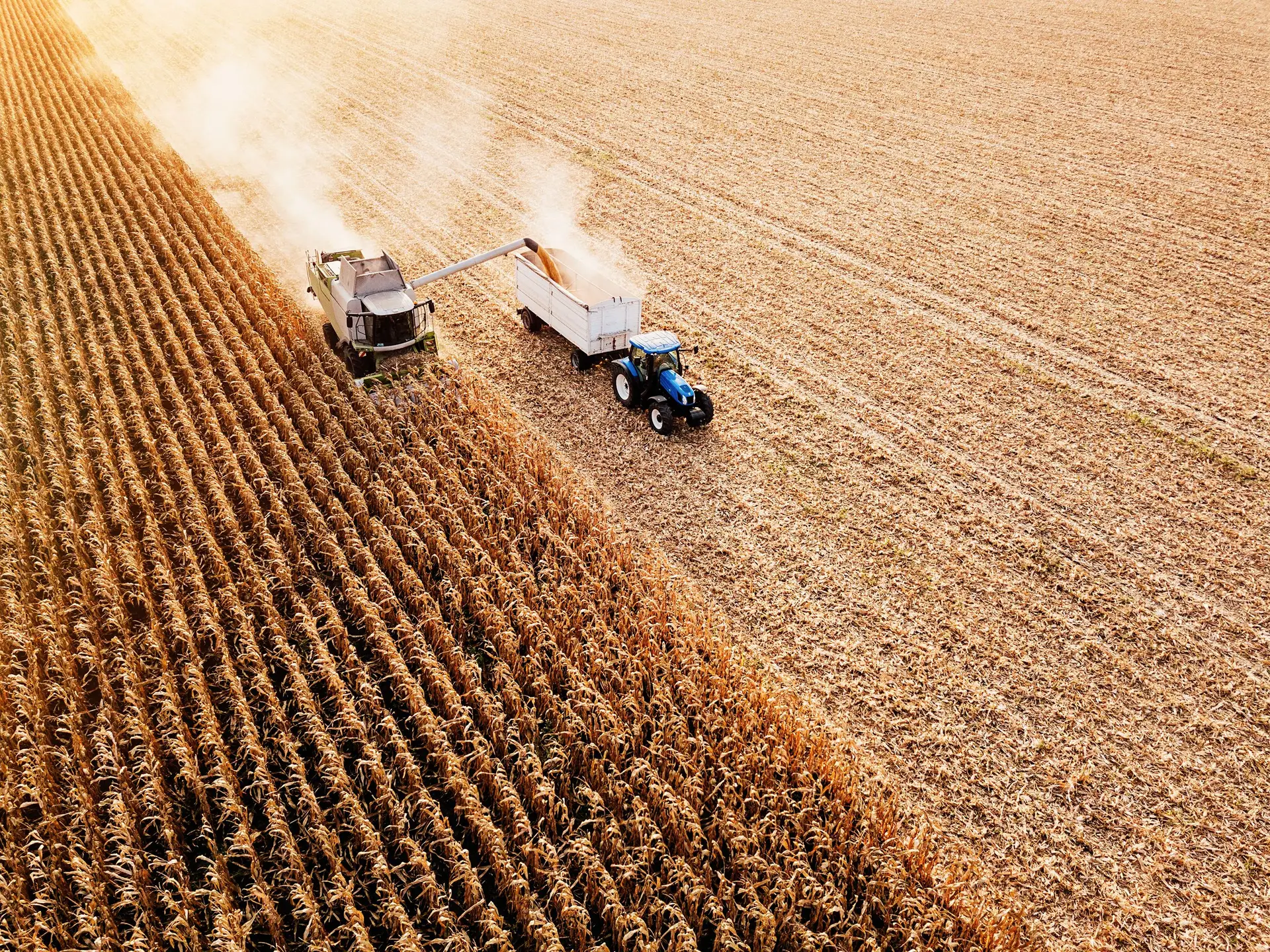 Agricultores portugueses preparam concentrações, marchas lentas e manifestações