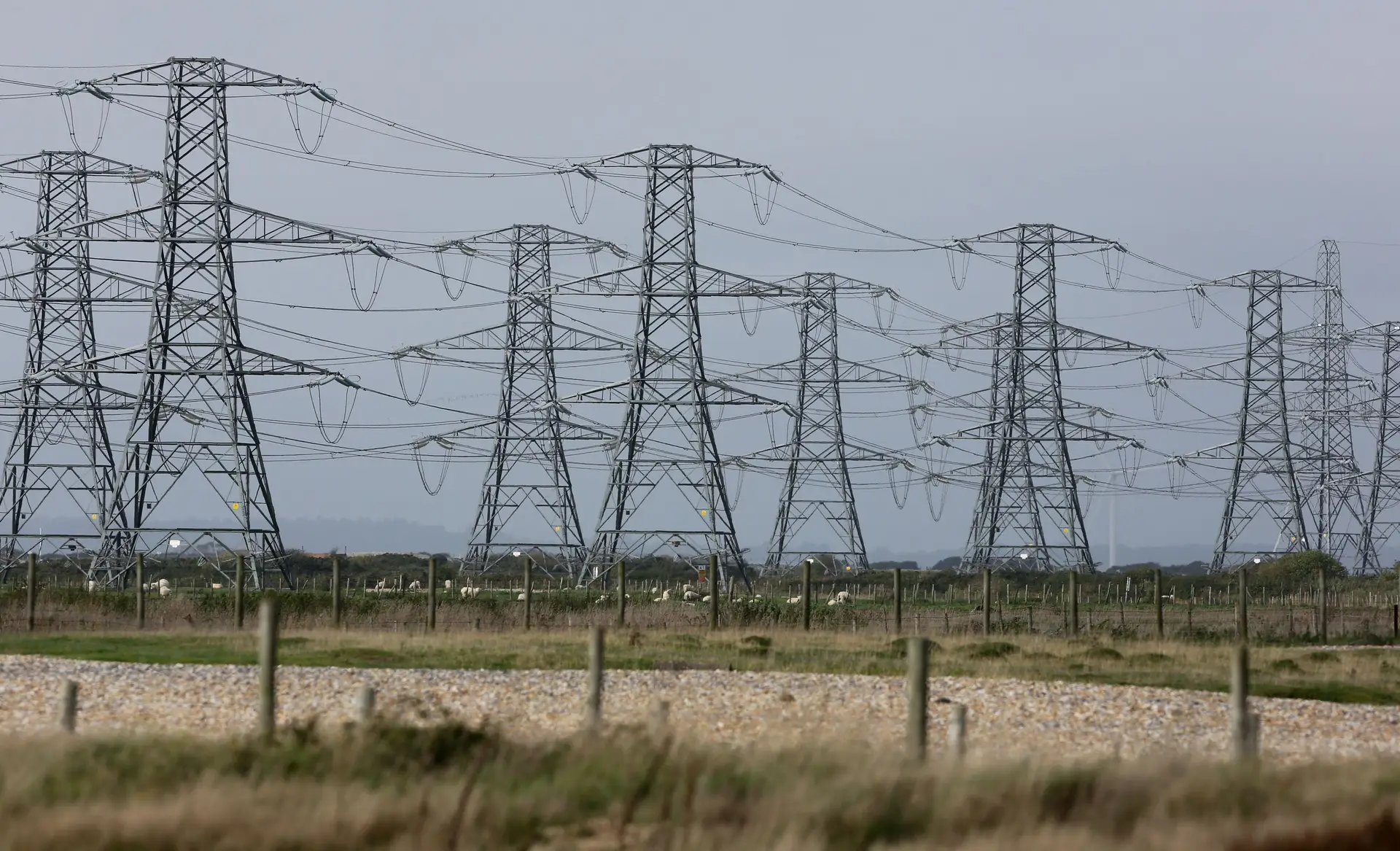 Estudo: Mecanismo ibérico reduziu preço da luz em 24,6% em média em Espanha