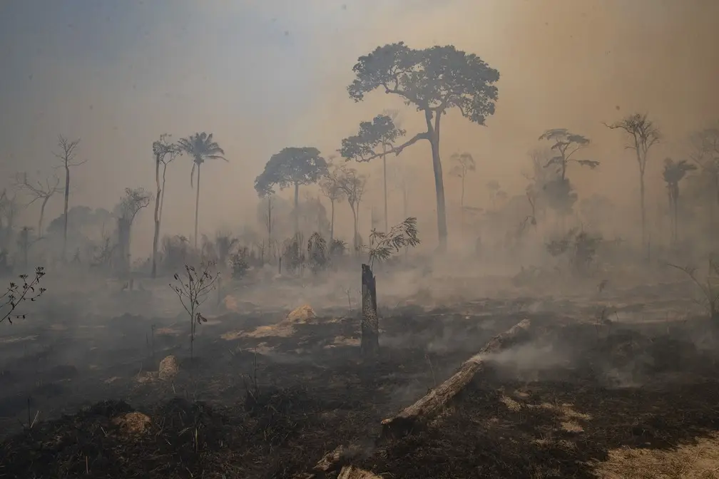 Líderes indígenas avisam que 26% do ecossistema da Amazónia foi destruído