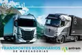 Transportes Rodoviários de Mercadorias