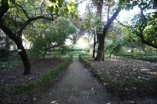 Jardim Botânico de Lisboa