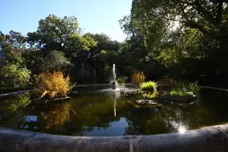 Jardim Botânico de Lisboa