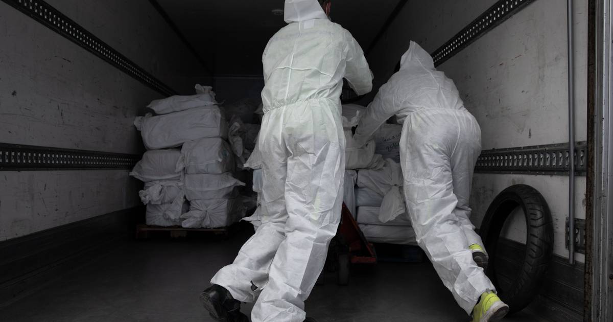 Oito toneladas de coca intercetadas mostram como os Países Baixos estão reféns dos senhores da droga