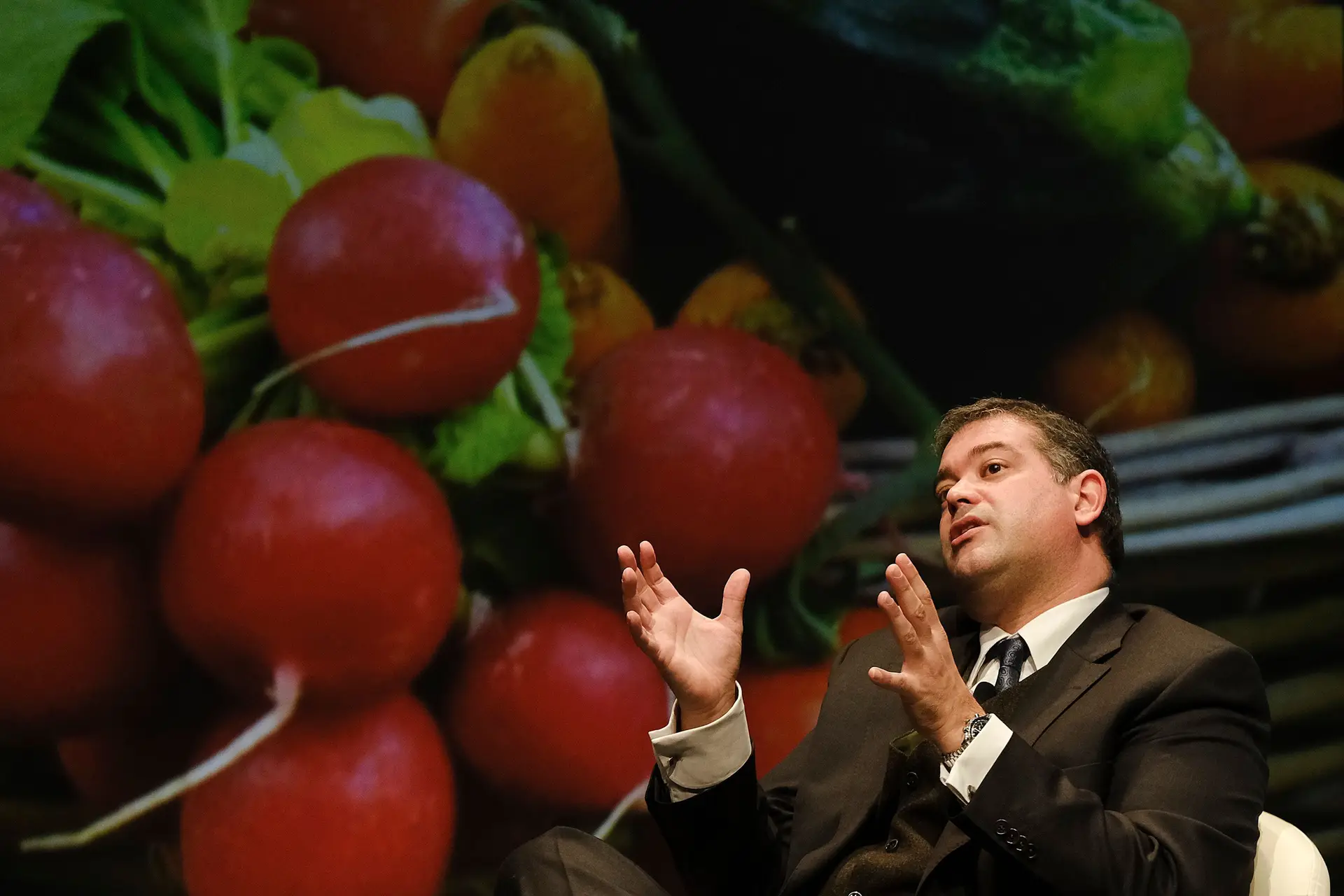 Luís Castro Henriques, presidente da AICEP
