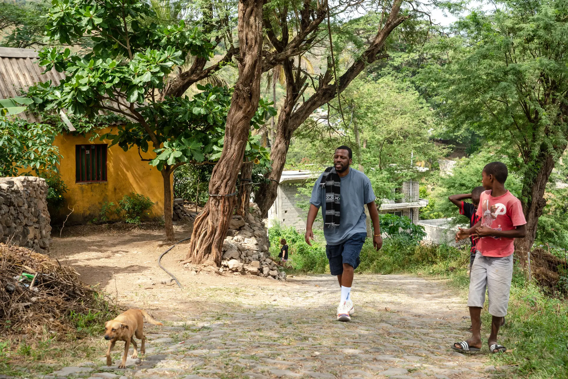 À vinda do Poilão, Dino é acompanhado por crianças. Sempre que se cruza com alguém, Dino é cumprimentado. É uma relação de proximidade a que cultiva com aqueles que o (re)conhecem.