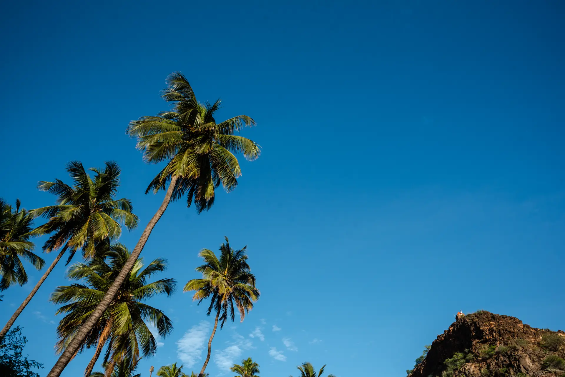 Na Cidade Velha, as palmeiras sobem alto na paisagem. Ali a aridez do solo é substituída por apontamentos mais verdes. A razão está num riacho que ali desagua