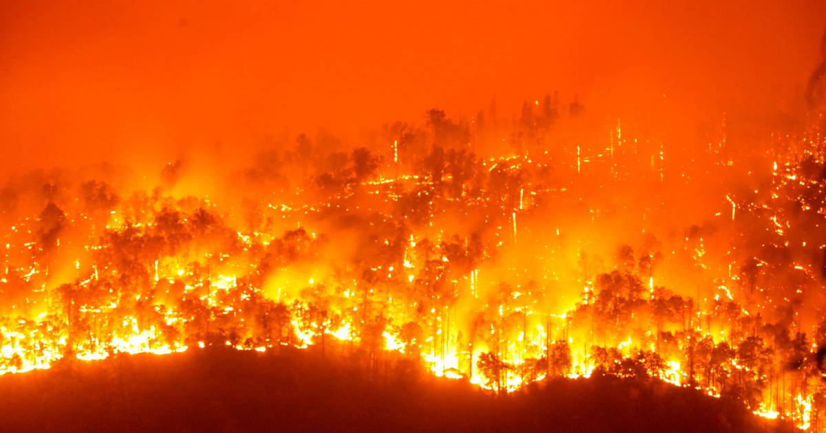 Incêndio no concelho da Calheta, na Madeira, obrigou à retirada de 120 hóspedes de um hotel