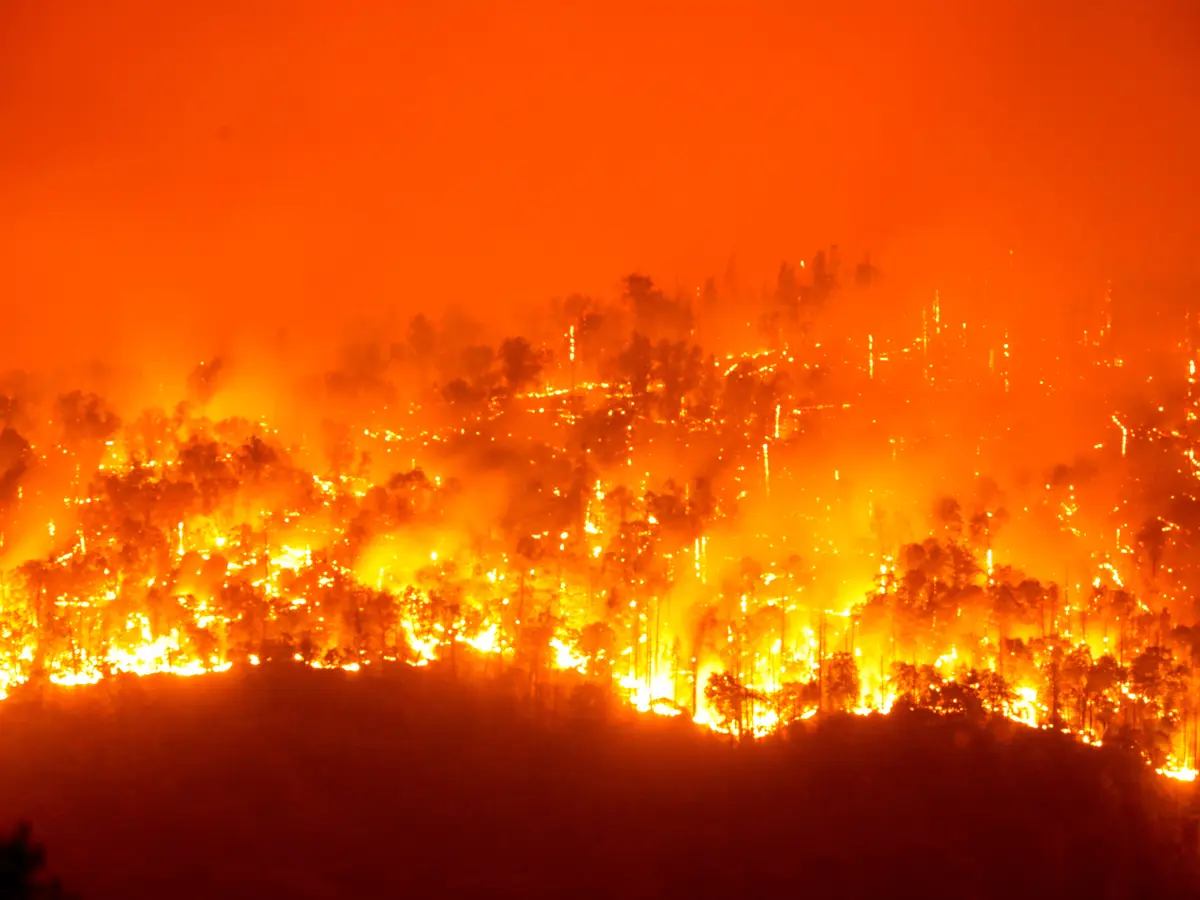 CapCut_Incêndios No Havai Deixa Mortos E Feridos