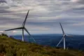 Rendas das renováveis aliviam indústria em €533 milhões
