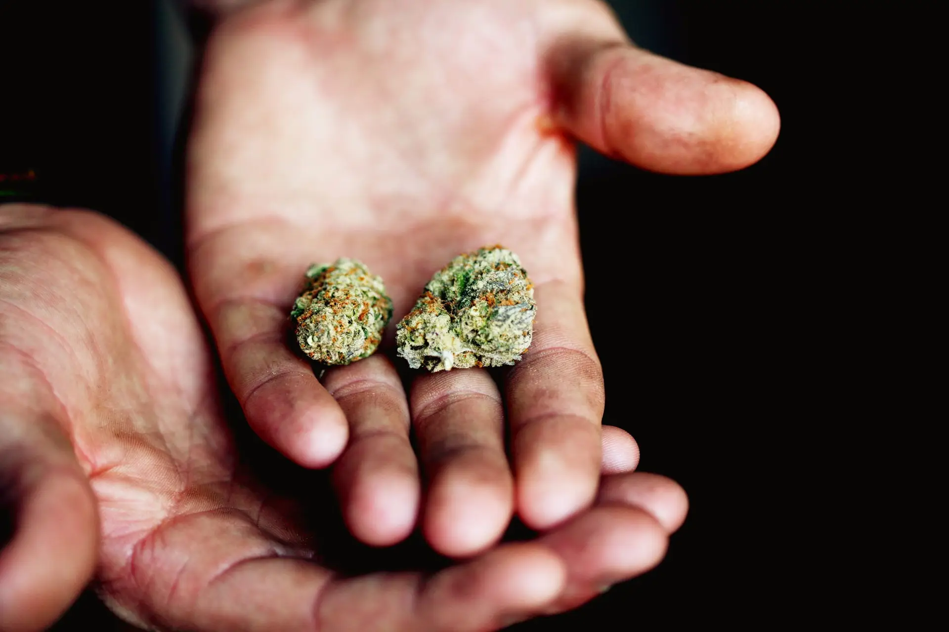 Joe Biden perdoou todos os condenados por posse de marijuana nos EUA? Mais ou menos