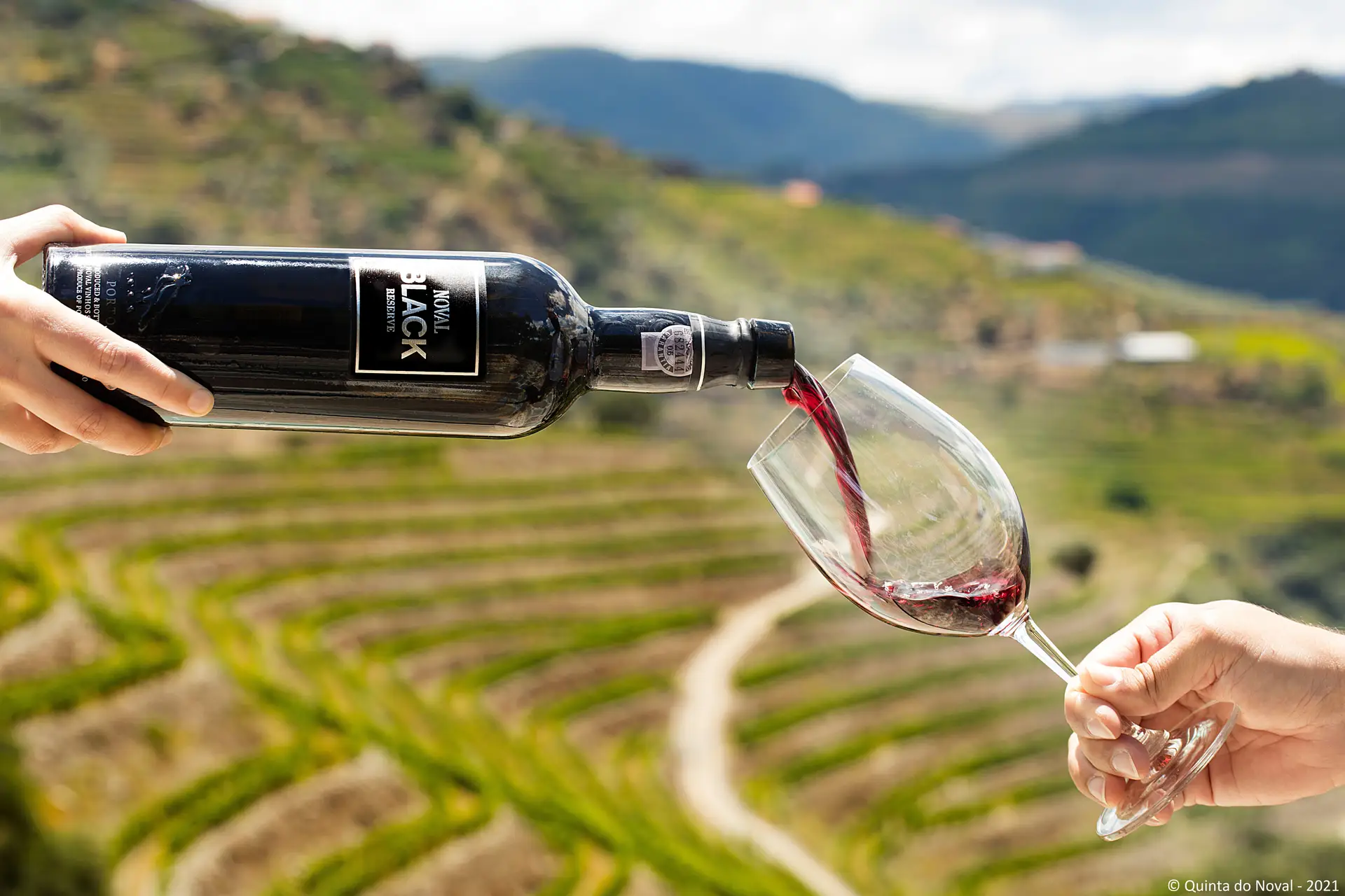 No Dia Internacional, Cristiano Van Zeller sugere cinco Vinhos do Porto que contam histórias