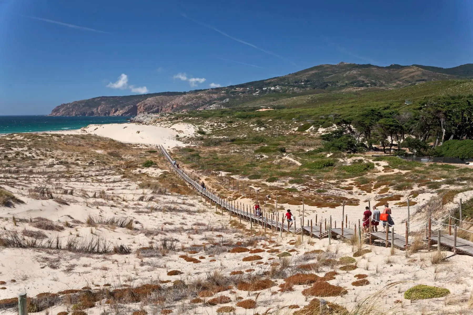 Entre Sintra e Cascais, um roteiro para celebrar a natureza (VÍDEO)