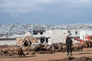 IUm sírio pastor perto do campo de refugiados de Atmeh, em Idlib, para onde todos os rebeldes que se oposeram ao regime de Bashar al-Assad acabaram por vier viver. Hoje, poucos rebeldes restam, a zona é covil de terroristas de todos os tipos, incluindo do Daesh FOTO Burak Kara/Getty Images
