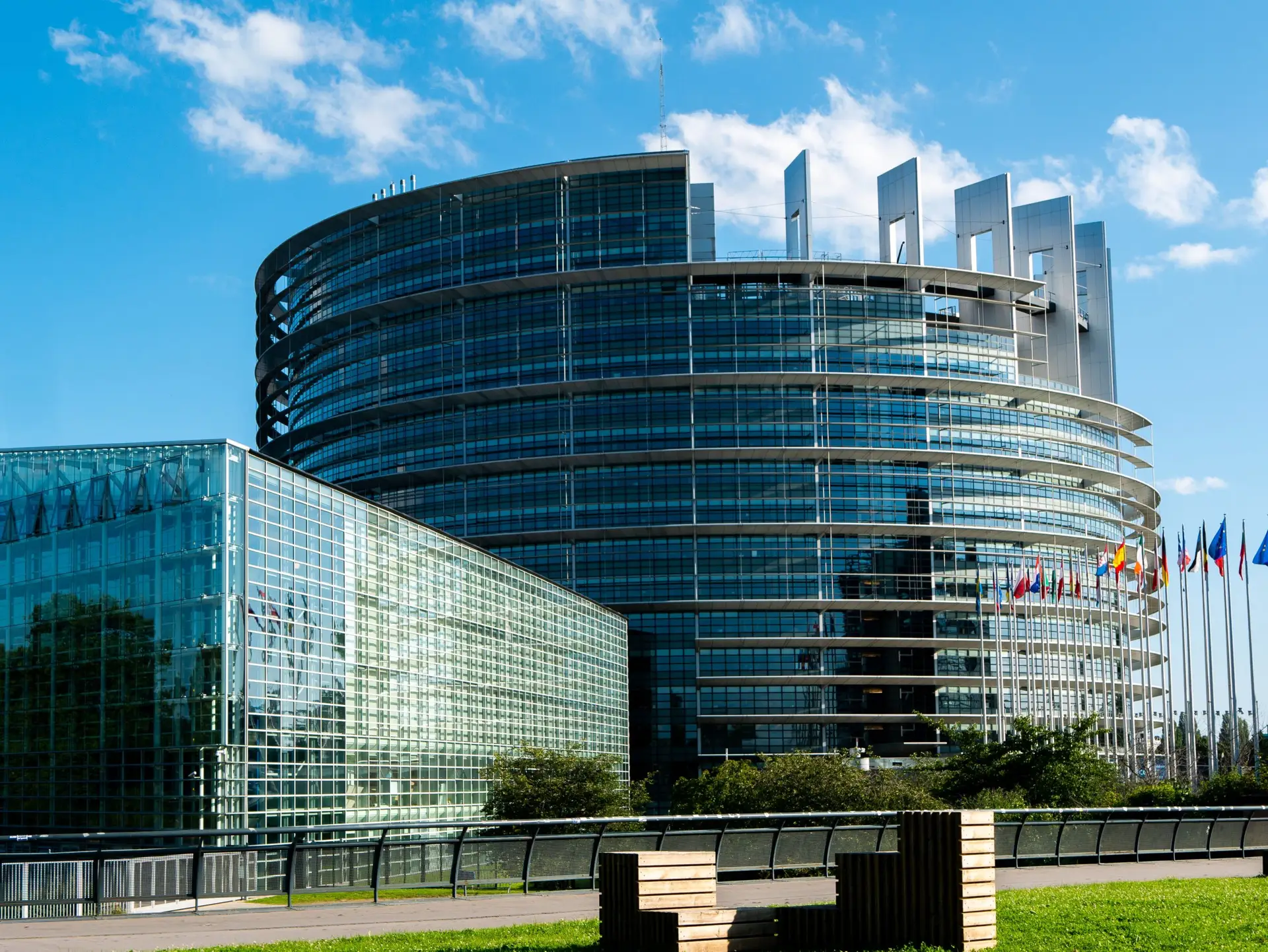Eurodeputados querem que Conselho Europeu justifique prática de estágios não remunerados
