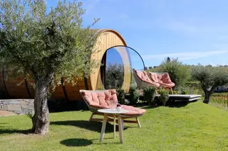 Wine Barrels